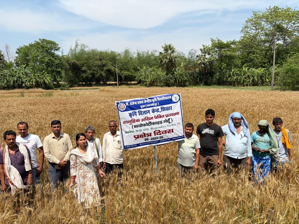 हिंदी समाचार | कृषि विज्ञान केंद्र, शिवहर...