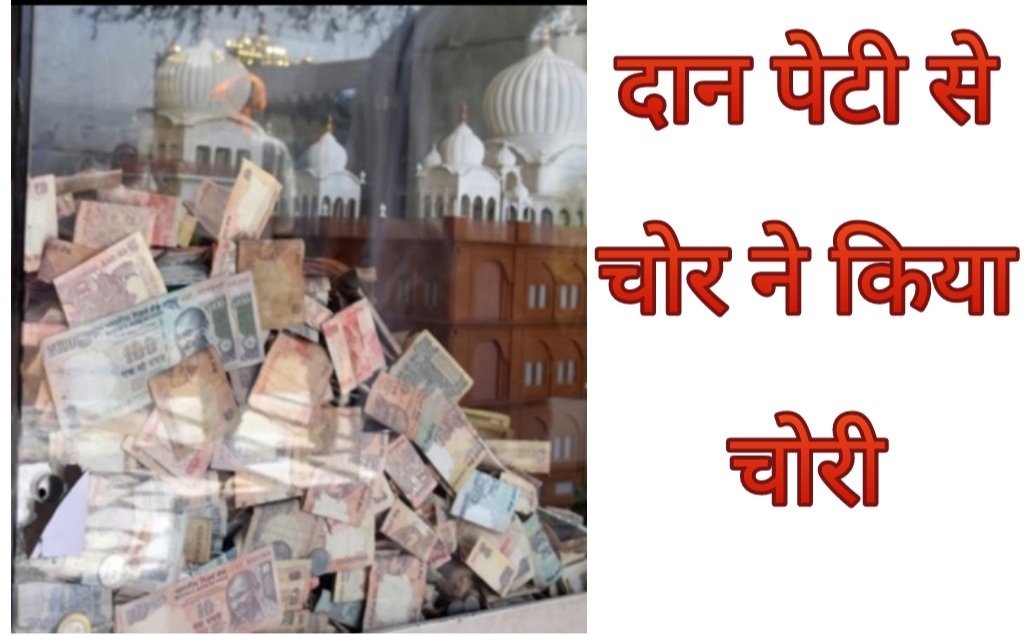 हिंदी समाचार |साई मंदिर की दानपेटी चोरी