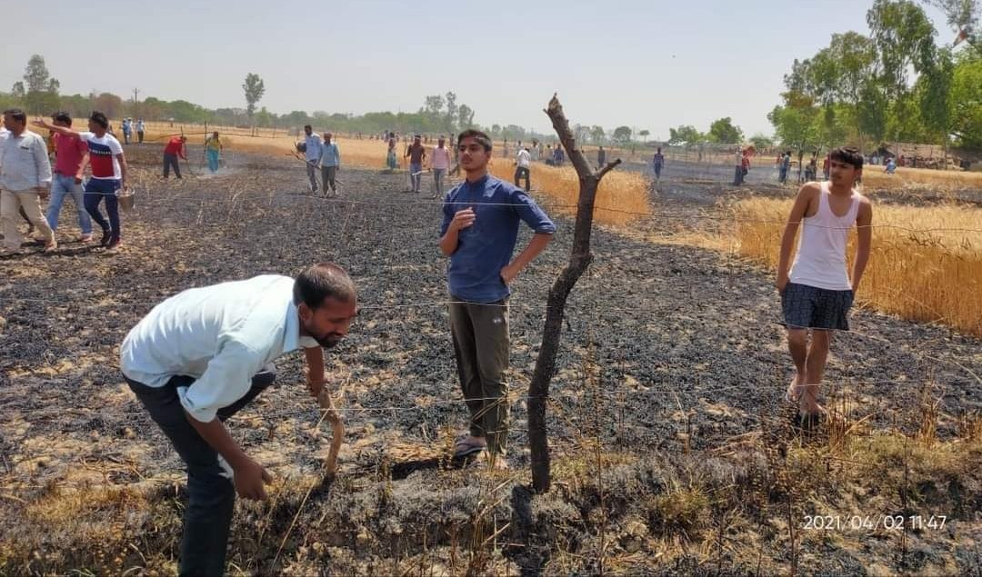 हिंदी समाचार |अज्ञात कारणों से लगी आग, लगभग...