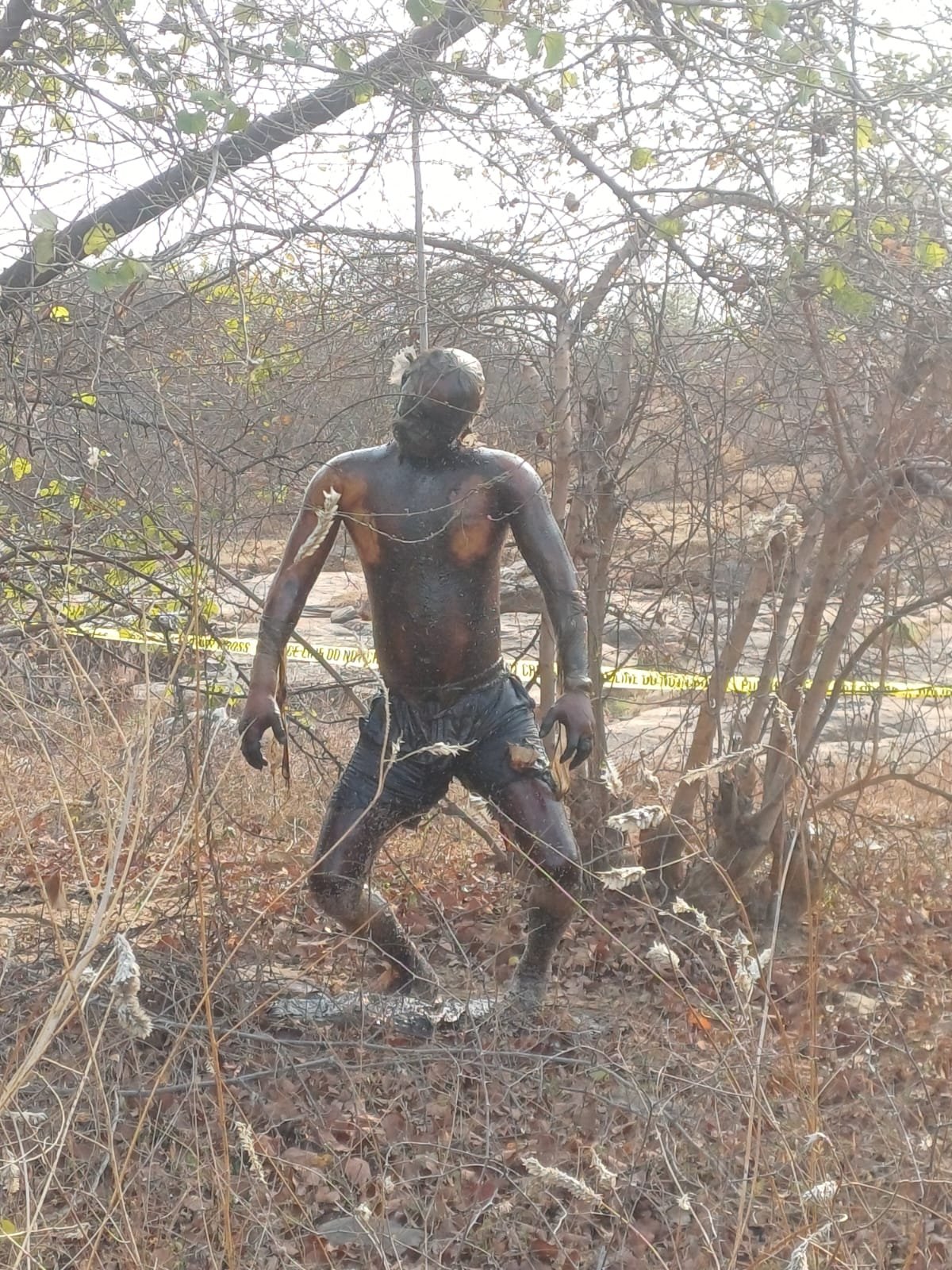 हिंदी समाचार | पेड़ से लटका मिला अज्ञात शव,...