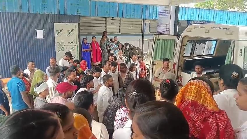 हिंदी समाचार | धान रोपाई हेतु खेत जा रही...