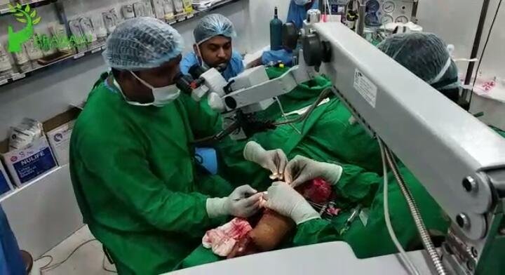 हिंदी समाचार |भिवंडी में प्राणायू अस्पताल...