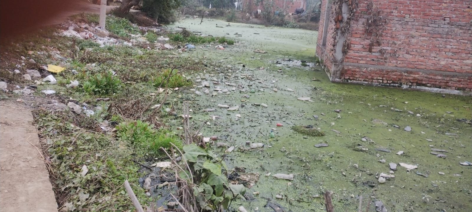 हिंदी समाचार | जल निकासी ग्रामीणों के गले की बनी फांस, कहीं फसल जल मग्न तो कहीं बदबू से जनजीवन पर व्यापक असर