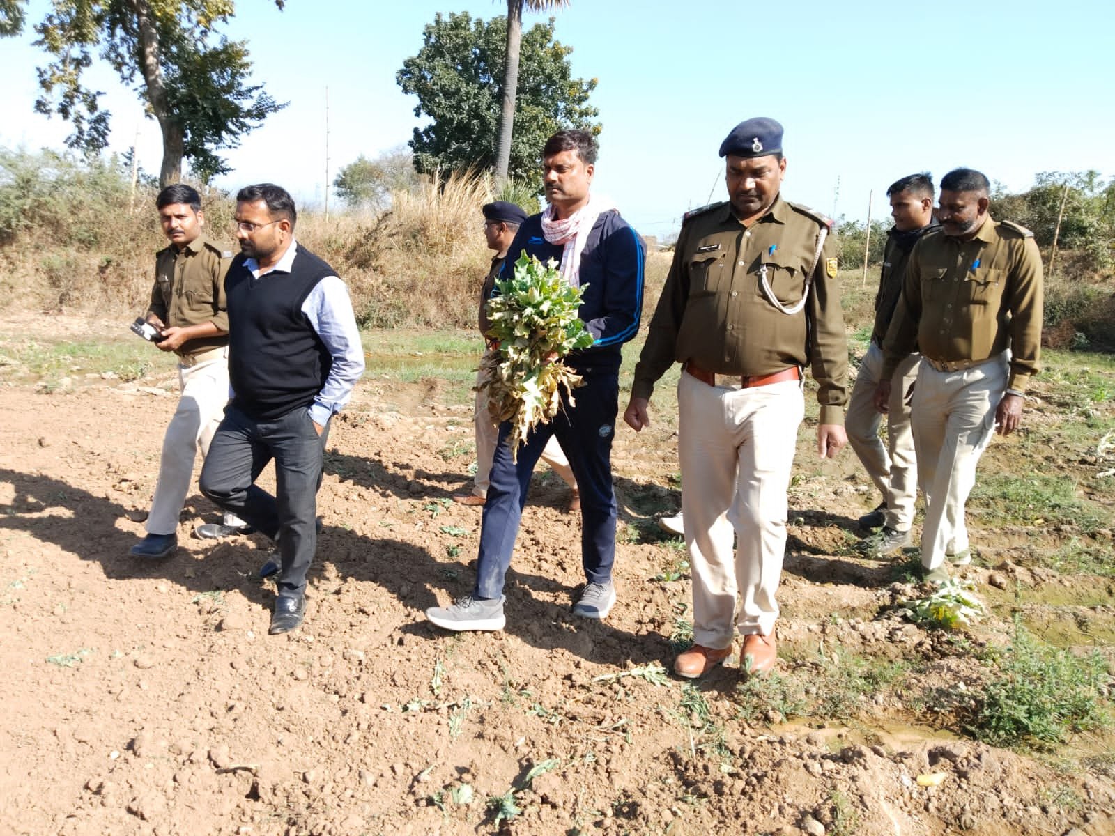 हिंदी समाचार |पुलिस के डर से अफीम लगा खेत...