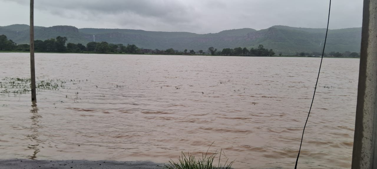 हिंदी समाचार |जल जमाव से 50 एकड़ की फसल गलने की...