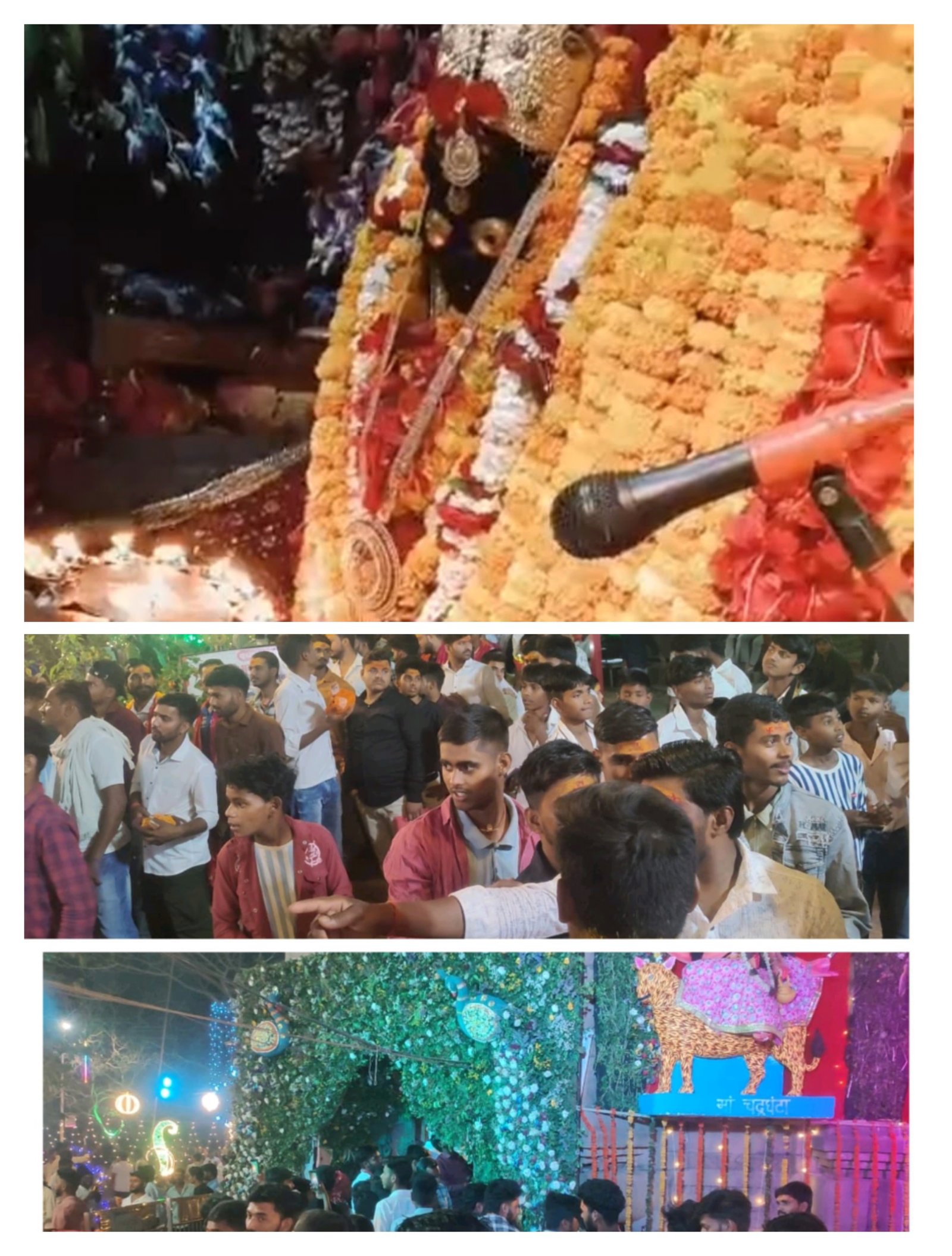 हिंदी समाचार | मां मुंडेश्वरी दर्शन में...