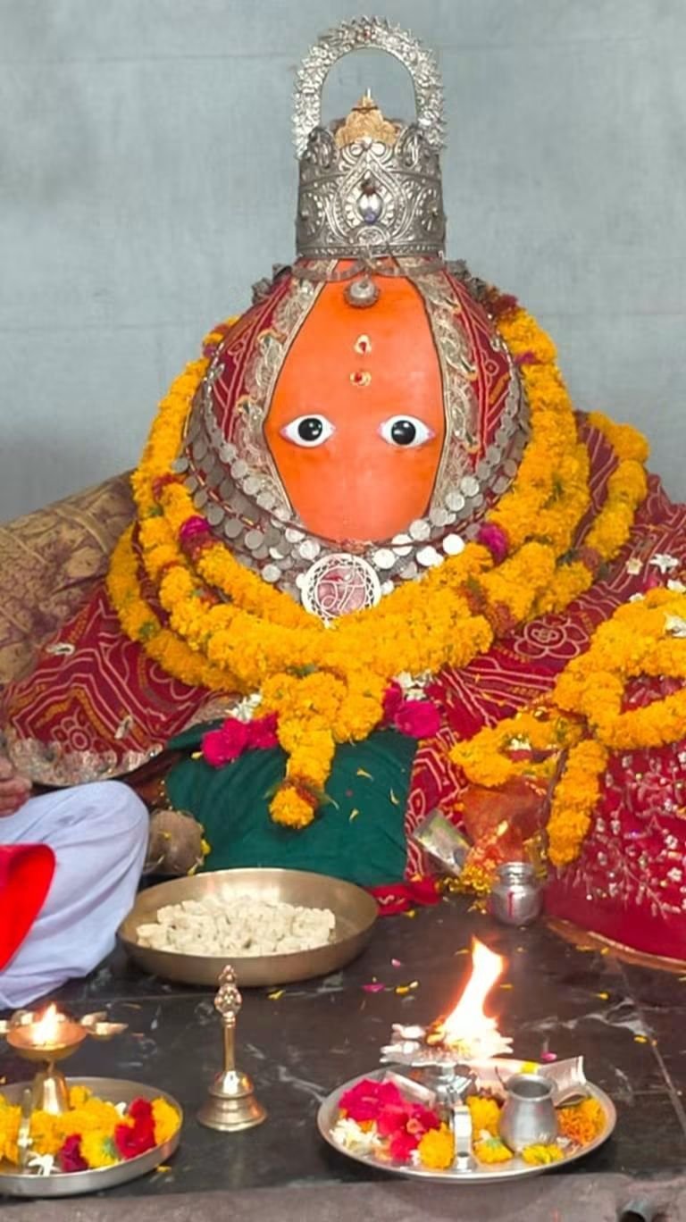 हिंदी समाचार | भैंसवा बिजासन माता धाम तक...