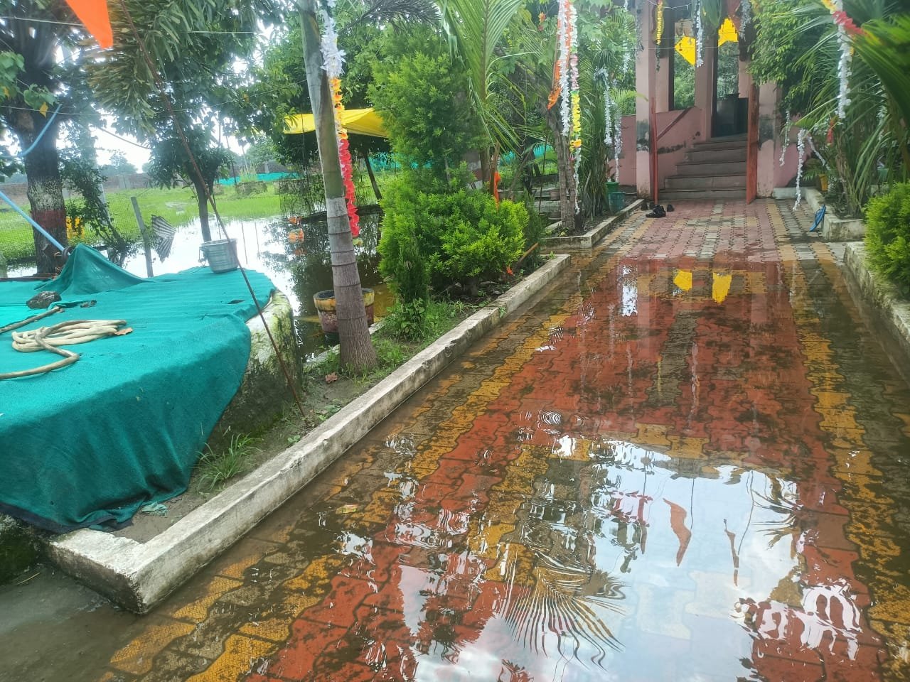 हिंदी समाचार |तालाब के अतिरिक्त पानी की...